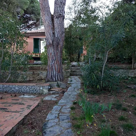 Vista Mare Tatil Evi