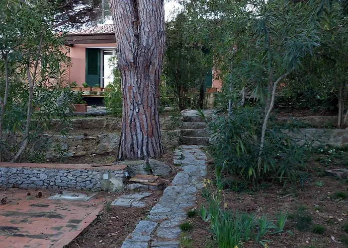 Vista Mare Tatil Evi